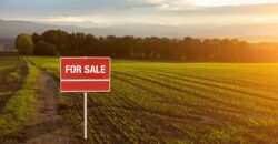 38,000 Sq Ft Farm House Plot for Sale At Girivan