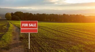 38,000 Sq Ft Farm House Plot for Sale At Girivan